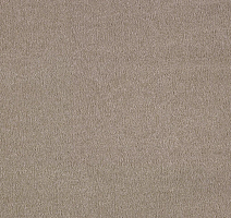 Ковролин AW Sentiment 40 фото 1 | FLOORDEALER